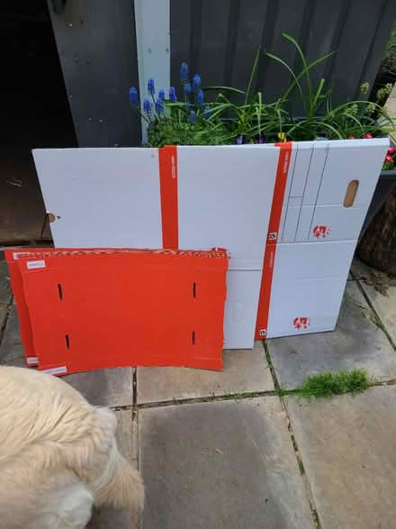Photo of free 2 storage boxes with lids unused (Eltham SE9) #1