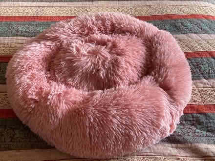 Photo of free New cat beds (Leith EH6) #2