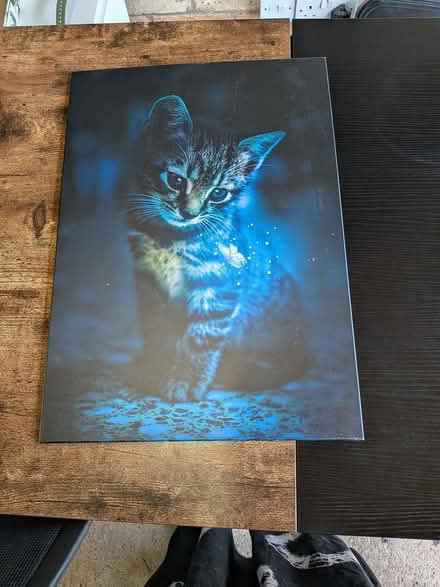 Photo of free Displate cat poster (GL1) #1