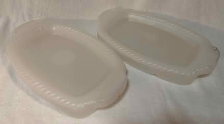 Photo of free Ice (Chiller) Plates (West San Jose 95128) #1