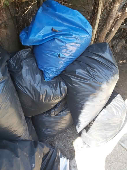 Photo of free Bags of topsoil (Sheerwster Woking GU21) #1