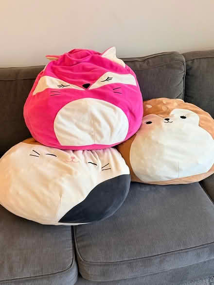 Photo of free Squashmellows (UES) #1