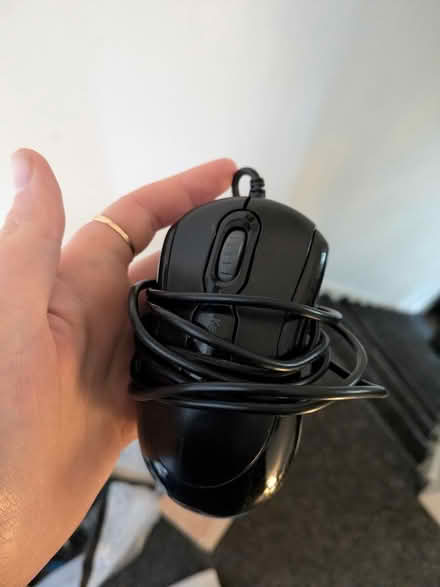 Photo of free Mouse (Manchester M19) #2