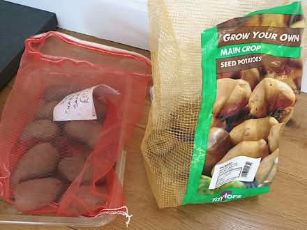 Photo of free Seed potatoes (Llandrindod LD1) #1