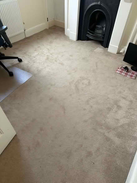 Photo of free 2 carpets approx 3x3m and underlay (Bloomfield BA2) #1