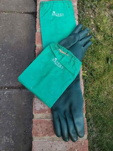 Photo of free Pond gloves (Ovingdean BN2) #2