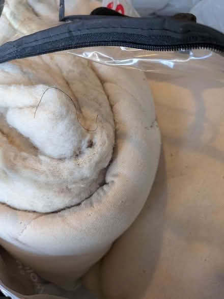 Photo of free Sheep skin / lambs wool underblanket for bed (Sharrow S7) #1