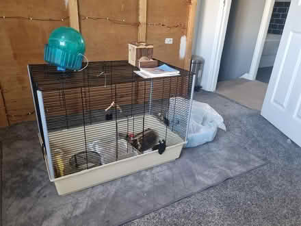 Photo of free large rat cage/haster cage (ne137nq) #1