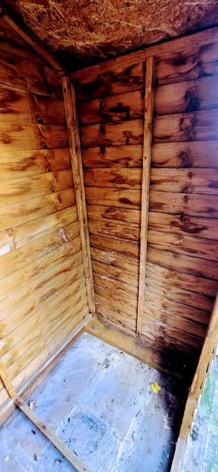 Photo of free 5' x 3' Timber Shed (dismantled) (Chellaston DE73) #3