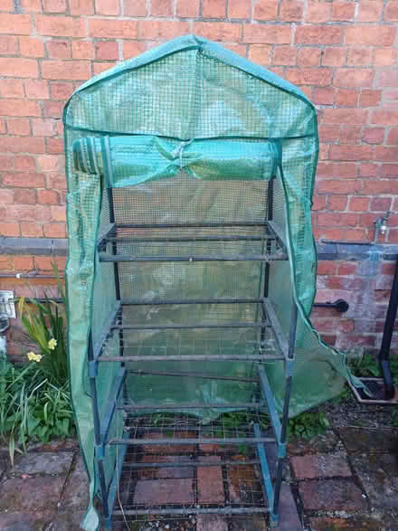 Photo of free Plastic greenhouse (Lingen SY7) #1