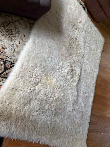 Photo of free Soft furry rug (Tanner plantation, Hanahan sc) #1