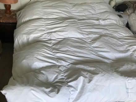 Photo of free Goose feather/down double duvet. (Wootton OX13) #2