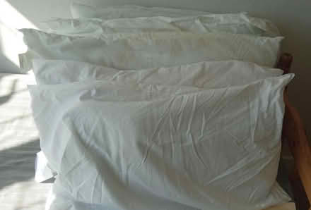 Photo of free 5 standard pillows (east twickenham) #1