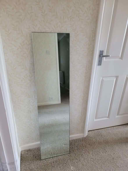 Photo of free Long mirror (Writtle CM1) #1