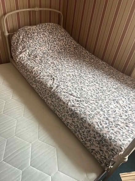 Photo of free single bed and trundle (Mickleover) #1