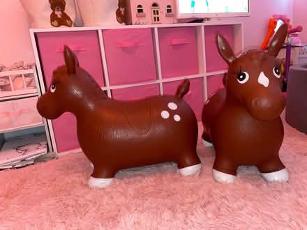 Photo of free X2 bouncing cows (1 PENDING) (Bromley common) #1