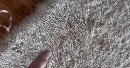 Photo of free Soft furry rug (Tanner plantation, Hanahan sc) #2