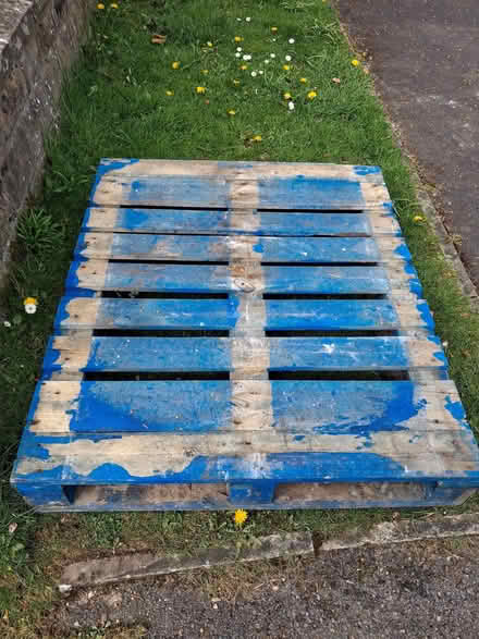 Photo of free Blue Pallet (Lostock Hall PR5) #1