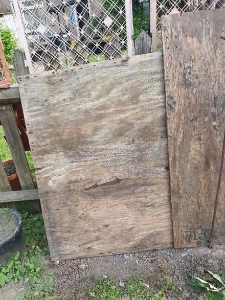 Photo of free Plywood 3/4 inch (Enfield EN2) #2