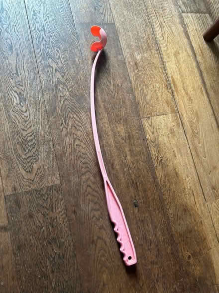 Photo of free dog ball thrower (Stockwell SW9) #1