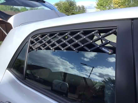 Photo of free Car window dog security grill pair (Hereford HR1) #2