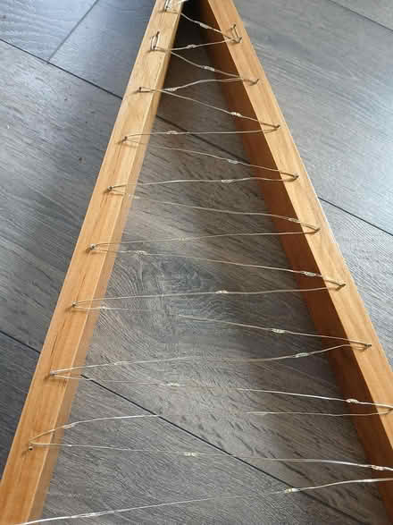 Photo of free Oak wood with lights christmas tree (washington) #2