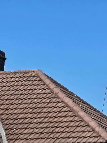 Photo of Roof tiles (BS5) #1