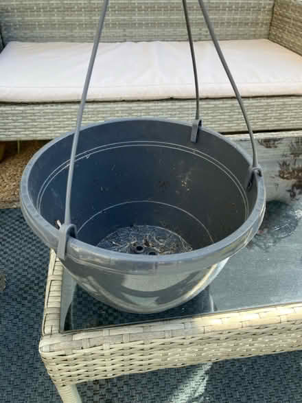 Photo of free Hanging baskets (Wallington) #1