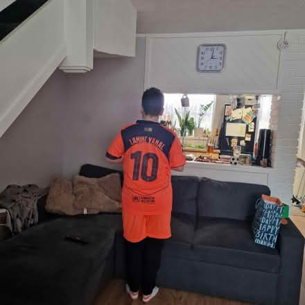 Photo of free Corner sofa bed (E6) #2