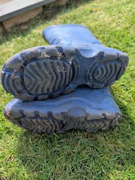 Photo of free Size 6 adult wellies (Stonehouse) #2