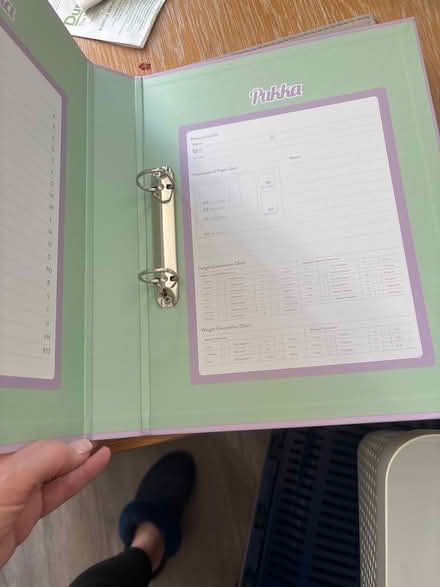 Photo of free A4 folder (SW11 Battersea) #2