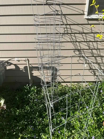 Photo of free Tomato cages, others (Bethany) #1