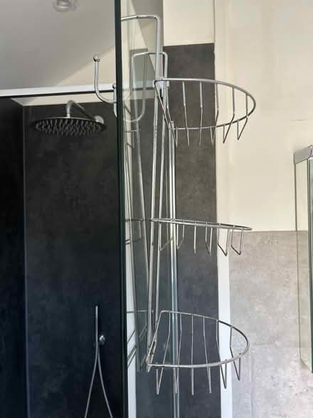 Photo of free Shower tidy (Bear flat) #2