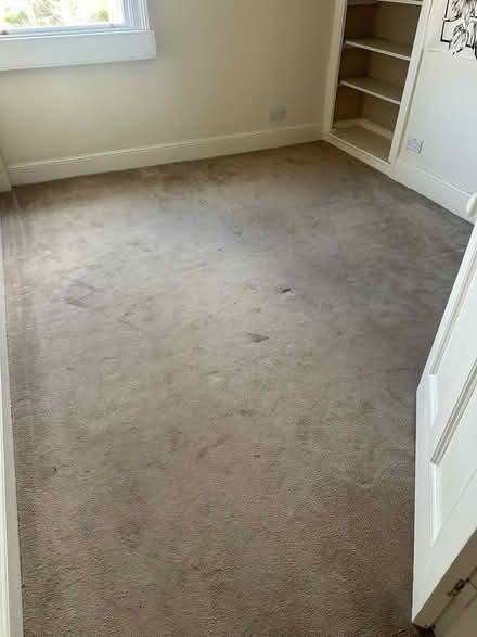 Photo of free 2 carpets approx 3x3m and underlay (Bloomfield BA2) #2