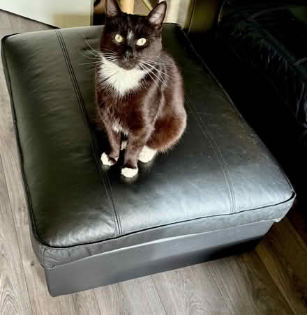 Photo of free IKEA Kivik Leather Sofa & Footstool (Rothwell, Northamptonshire) #2