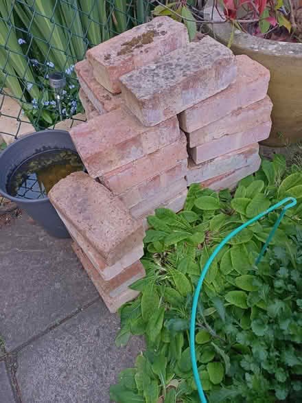 Photo of free Weathered red bricks (~40) (Rose Hill OX4) #1