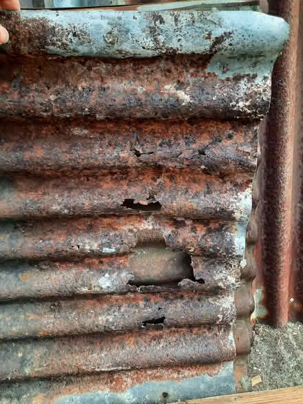 Photo of free Corrugated roofing (Plumpton Green BN7) #3
