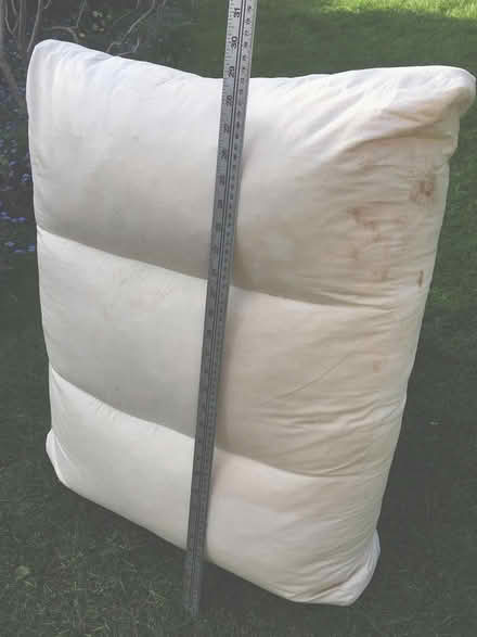 Photo of free Large down & feather cushion inner (Central Crouch End N8) #2