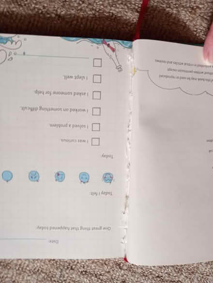 Photo of free Child's "Big Life Journal" (Welling DA16) #2