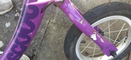 Photo of free Balance Bike (Hollingdean) #2