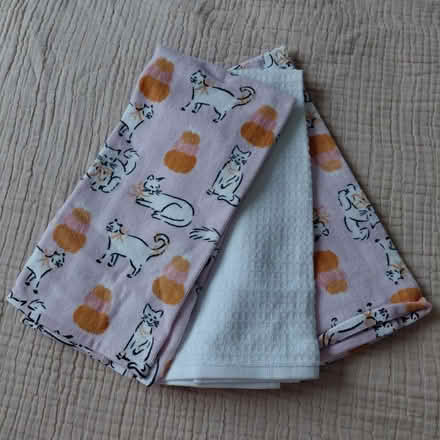 Photo of free 3-pack dish towels (Union City - Decoto Road) #1