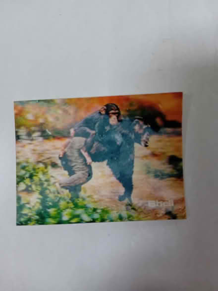 Photo of free 3D World Wildlife Fund Picture cards from 1980s (Lamorbey DA15) #2