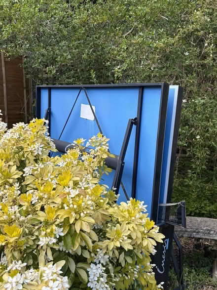 Photo of free Decathlon TableTennis Table (Shenley WD7) #1