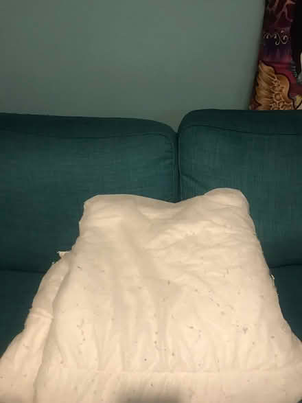 Photo of free Old duvet (DD1 stobswell) #1