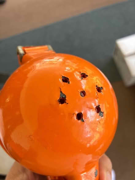 Photo of free Citrus squeezer (Downtown) #1