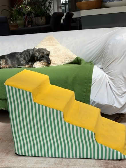 Photo of free Dog stairs (Clapham Junction SW11) #1