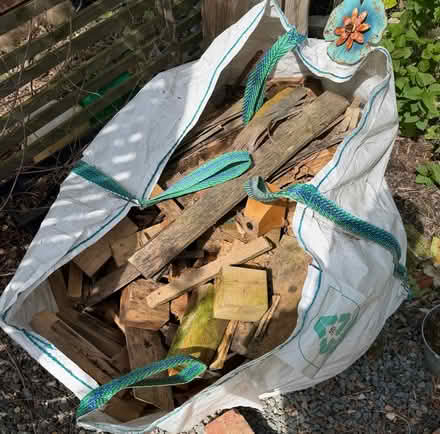 Photo of free Pond plants, carpet roll tubes and wood off cuts. (Llynclys SY10) #3