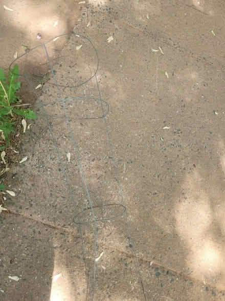 Photo of free Tomato cage (Montclair) #1