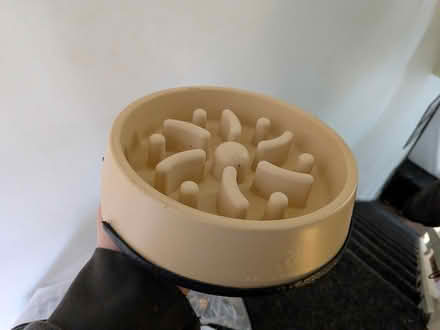 Photo of free Slow feeding dog bowl (Manchester M19) #2