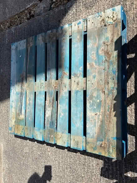 Photo of free Large wooden pallet (Timsbury, Bath) #1